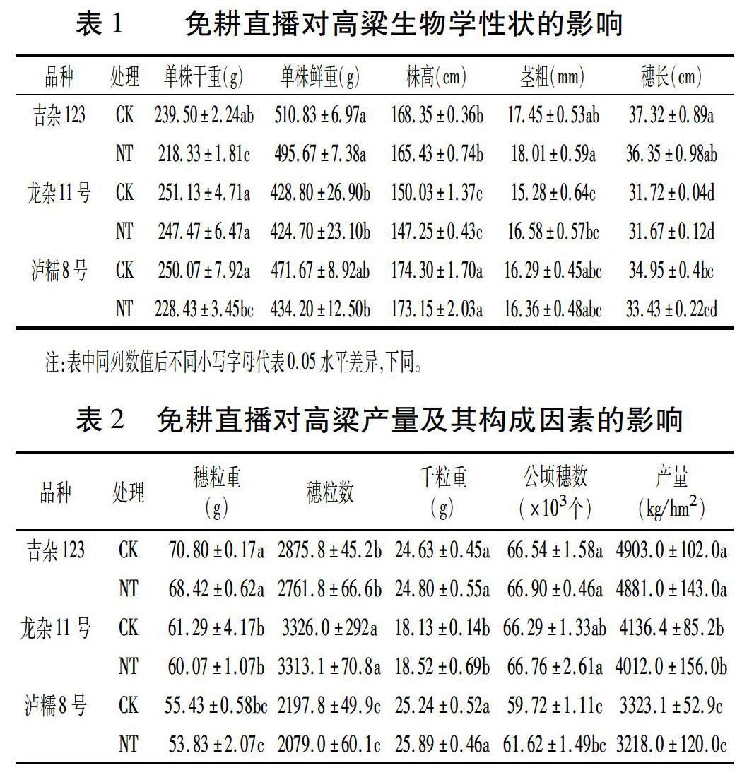 吉杂124高粱简介图片