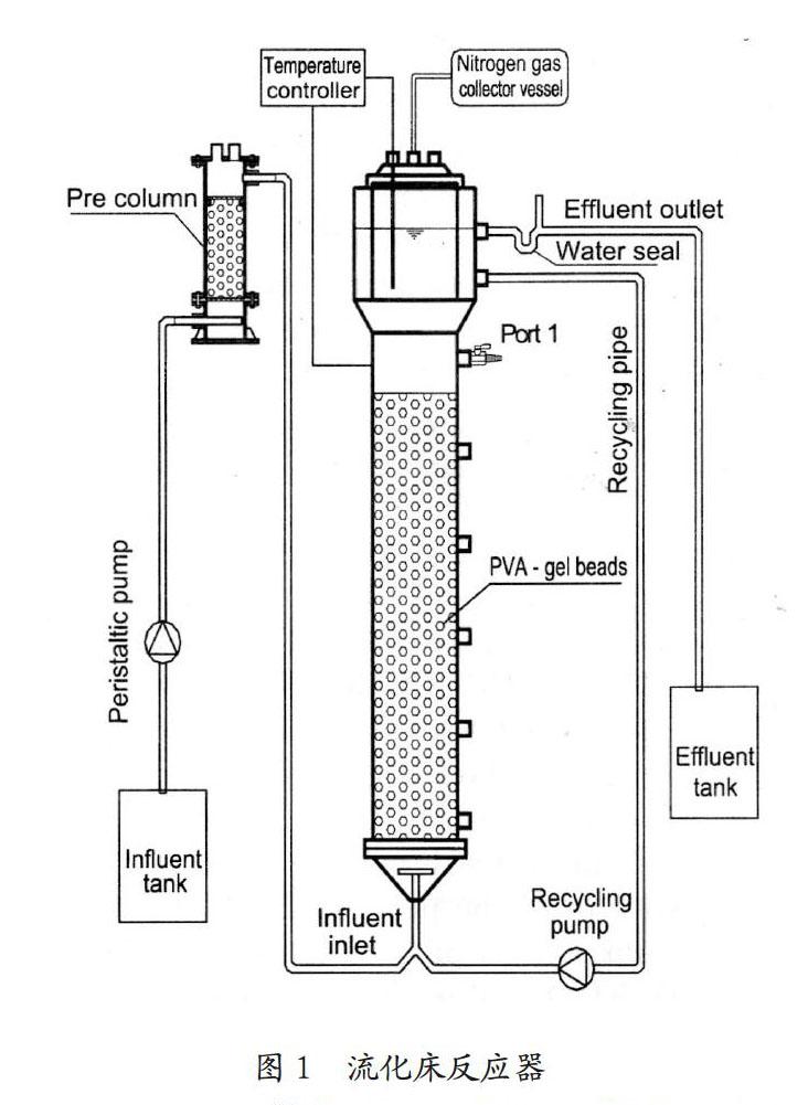 Pva凝胶固定微生物法用于废水处理的研究进展 参考网