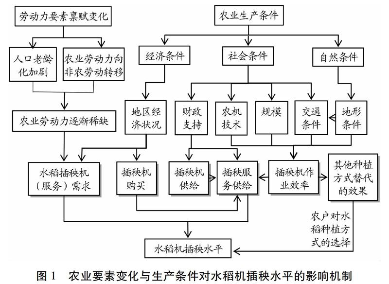 劳动力禀赋变化与生产条件差异下的农业技术选择