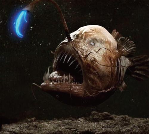 深海里的外星鱼