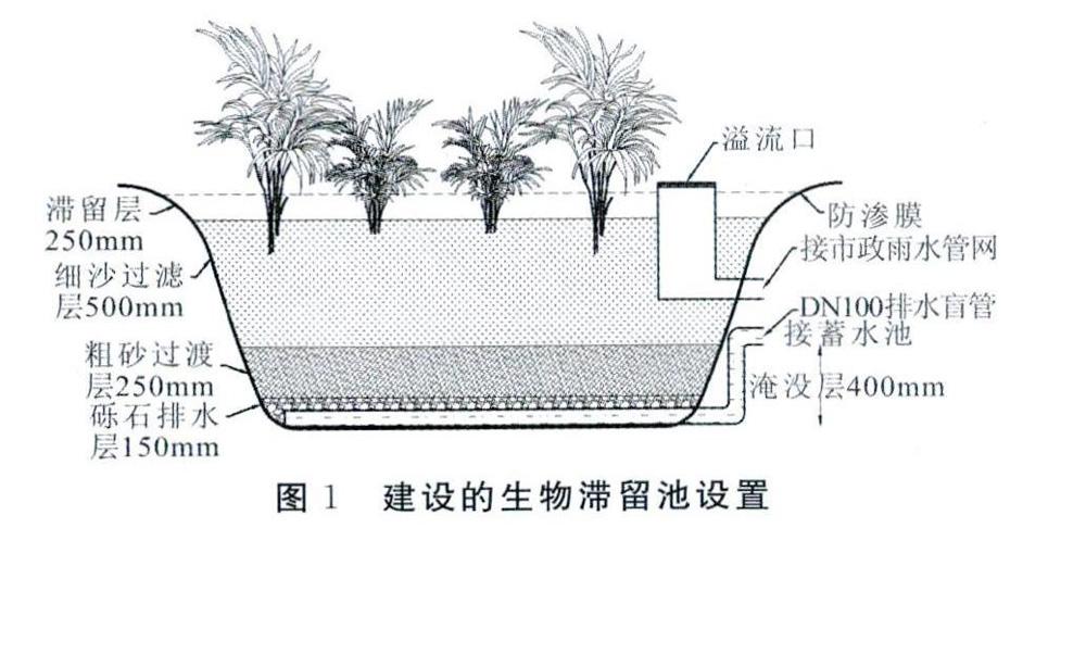 澳大利亚生物滞留池技术在中国的雨水处理能力验证