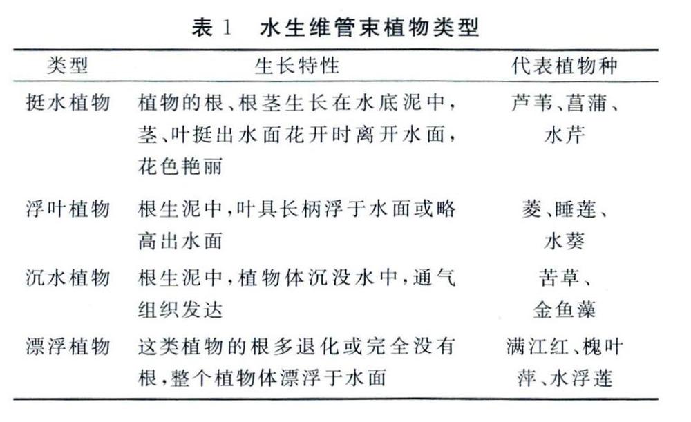 水生维管束植物水体净化污染物作用探讨 参考网