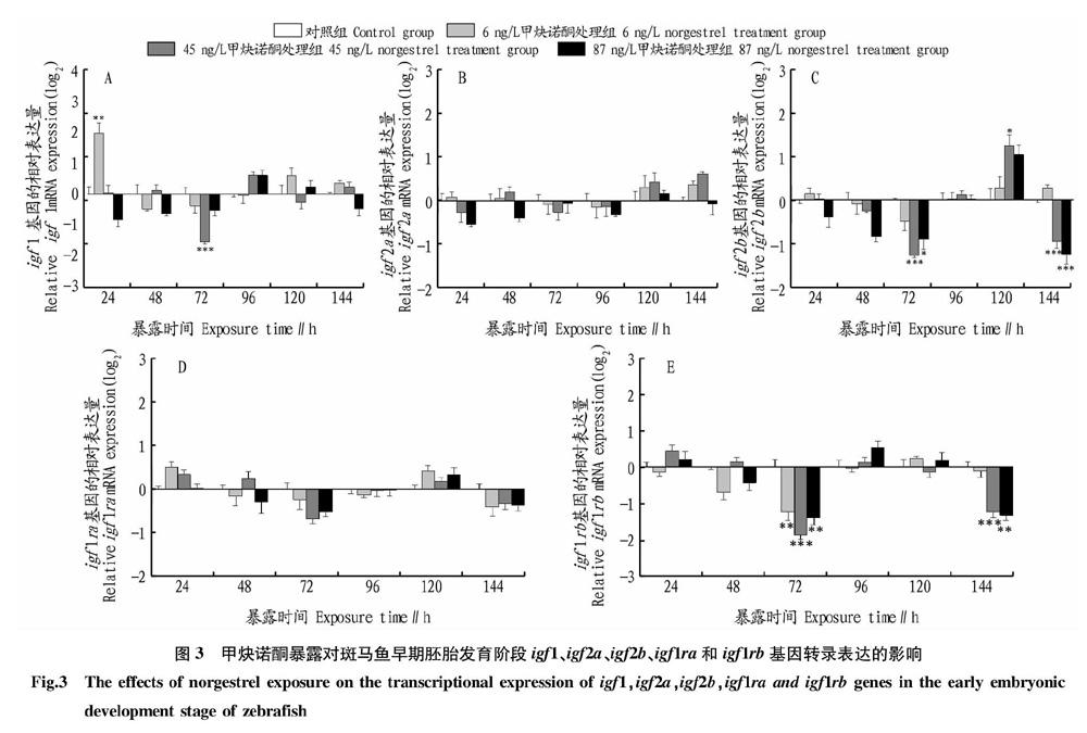 甲炔诺酮对斑马鱼胚胎下丘脑-垂体-生长轴基因表达的影响_参考网