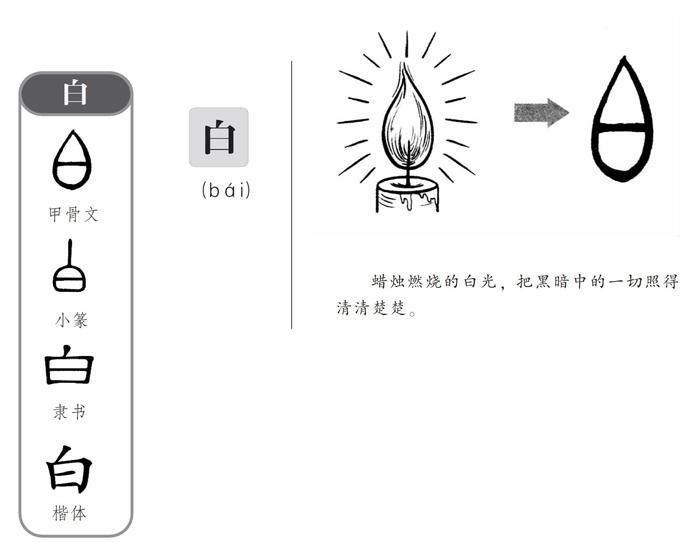 画说汉字 白 参考网