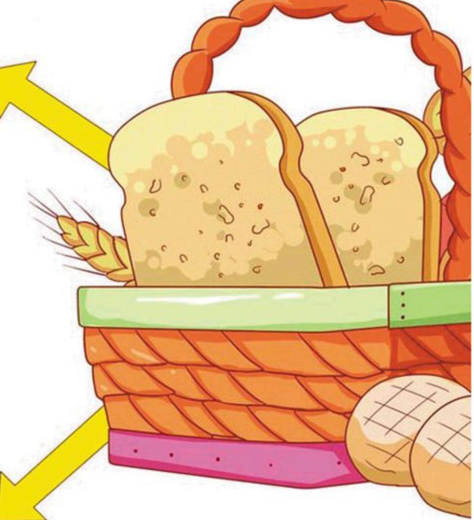能让面包变胖的酵母菌