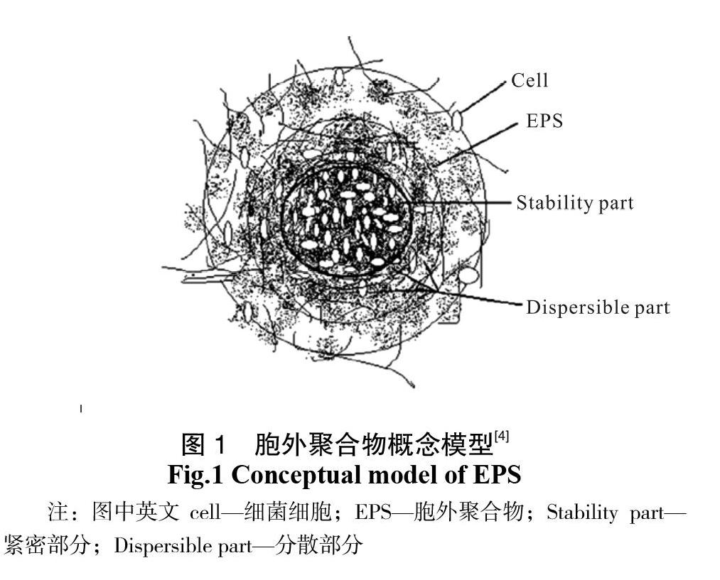 长春方振东图片