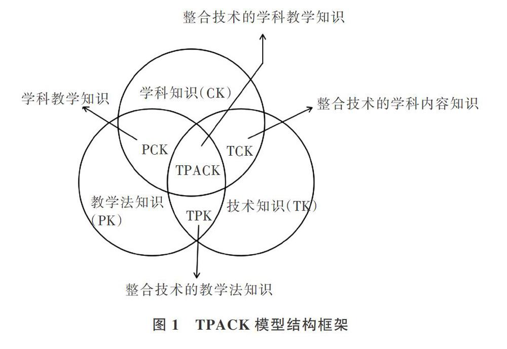 tpack理论视域下的职前教师信息化教学能力培养研究