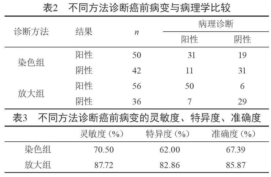 內鏡窄帶成像聯合放大內鏡對胃癌前病變的診斷價值