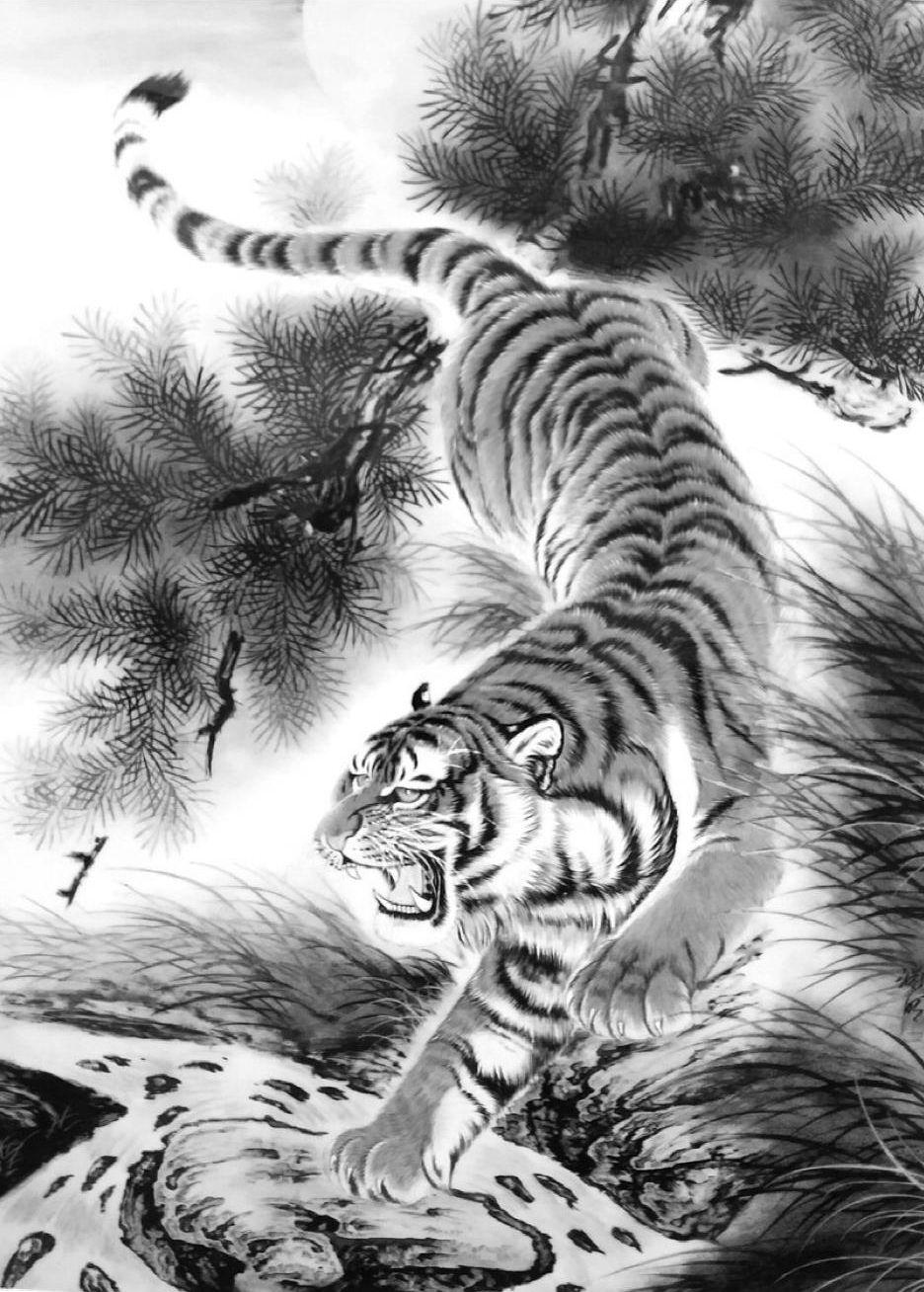鹅凰嶂老虎的故事