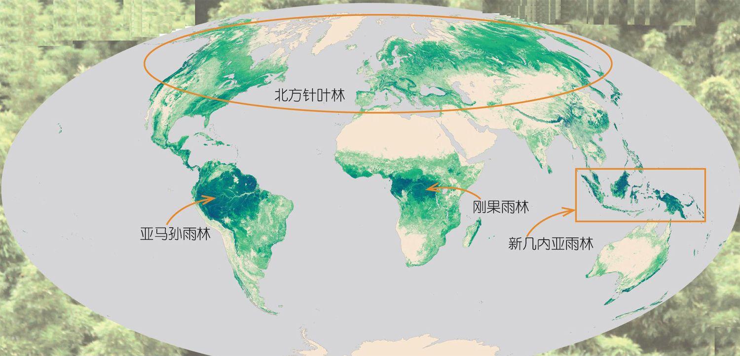 覆盖面积:1700万平方千米森林类型:寒带针叶林地点:亚洲,欧洲,北美洲