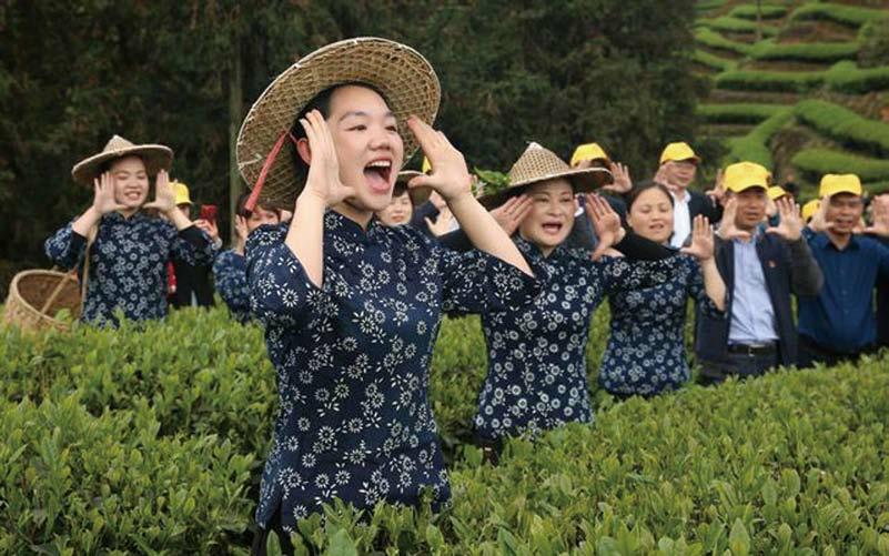 秘書長柴俊介紹,朝陽村有一座廟,專門供奉茶神,在喊山祭茶活動當天,會