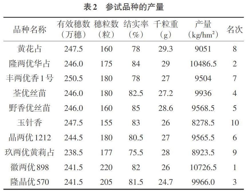 苗稻6号水稻品种备案图片