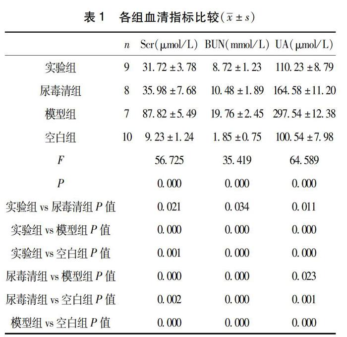 降氮煎劑對慢性腎衰大鼠腎功能的作用及其對尿酸的影響_參考網