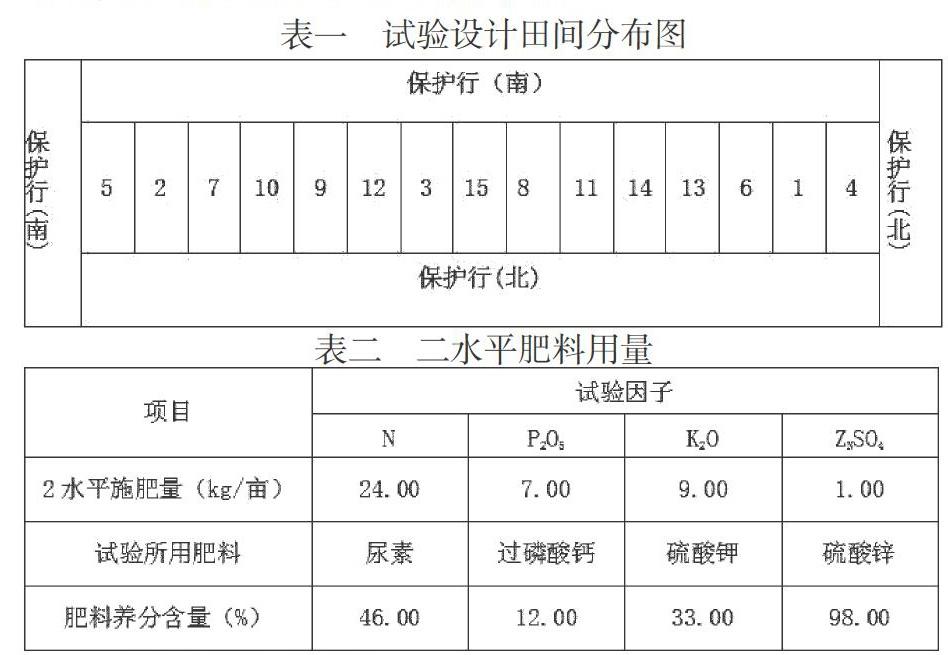 玉米田间试验设计方案图片