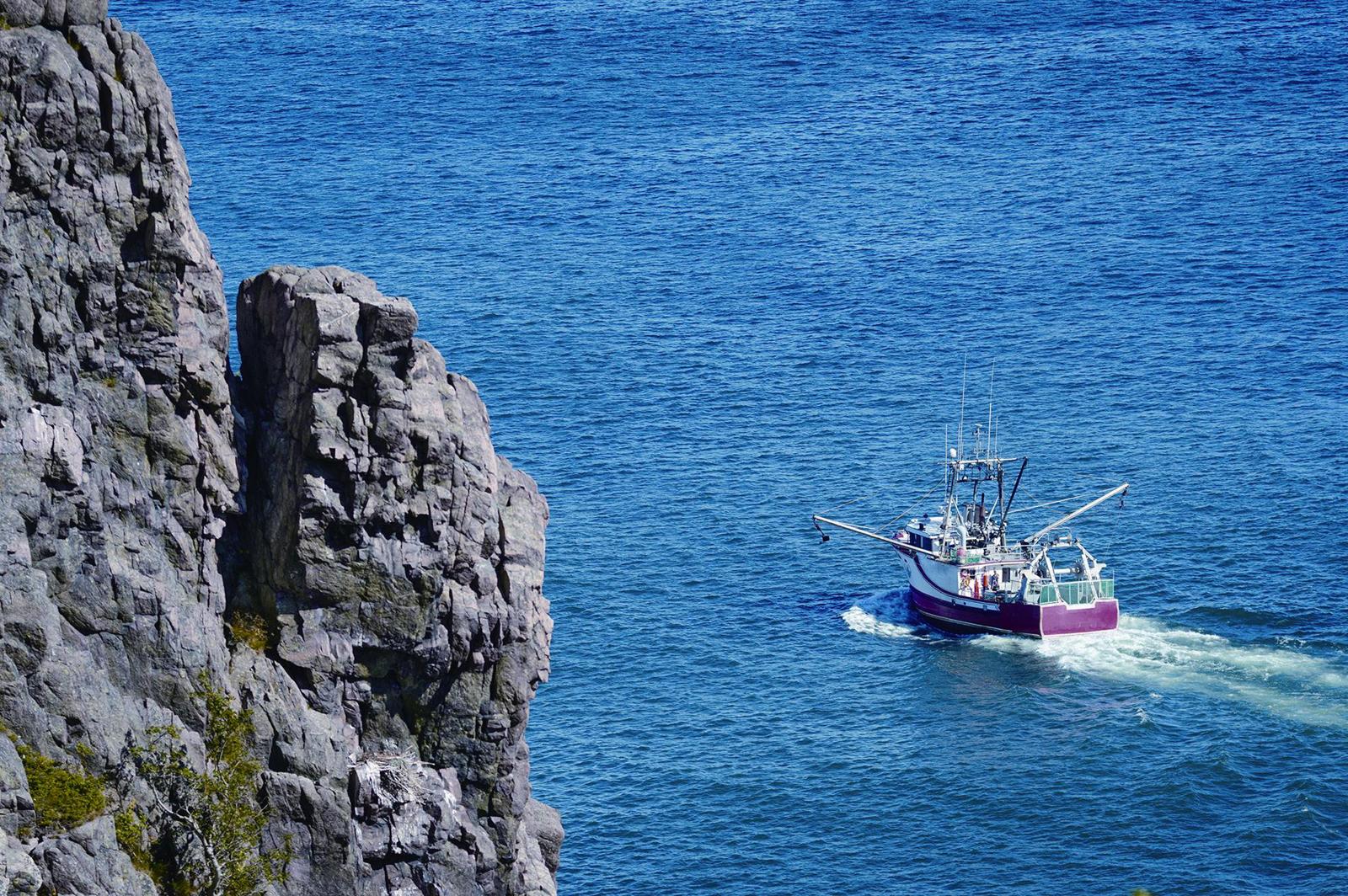 纽芬兰渔场珍馐：加拿大大西洋真鳕鱼_凤凰网视频_凤凰网