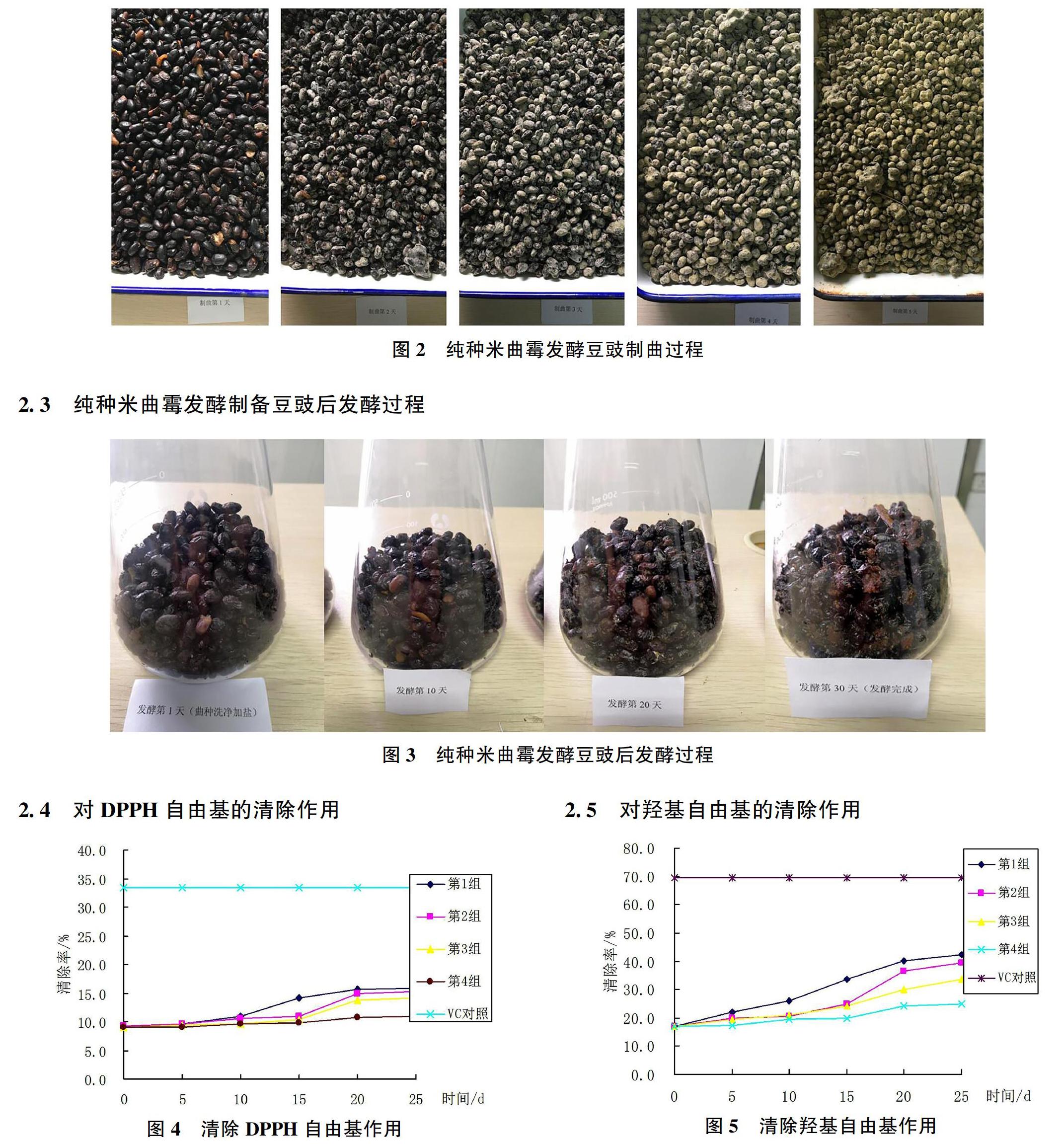 纯种米曲霉发酵制备阳江豆豉及其抗氧化活性研究