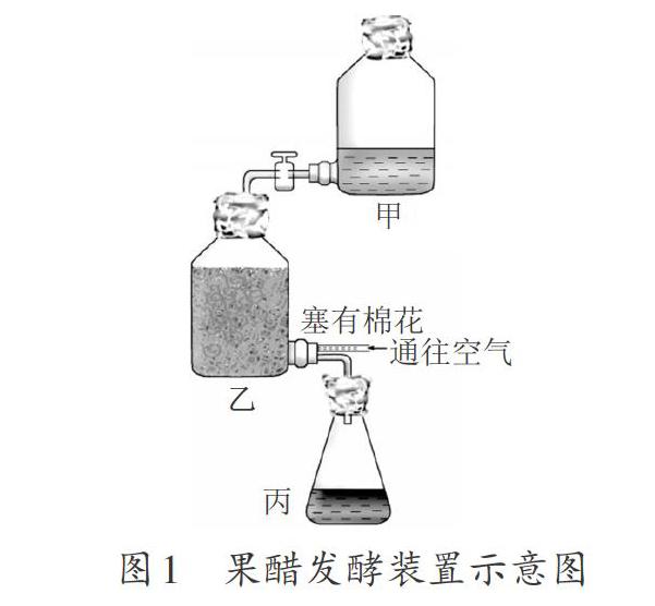 从发酵原料,菌种,发酵装置等多个方面分析,对果酒及果醋的制作这一