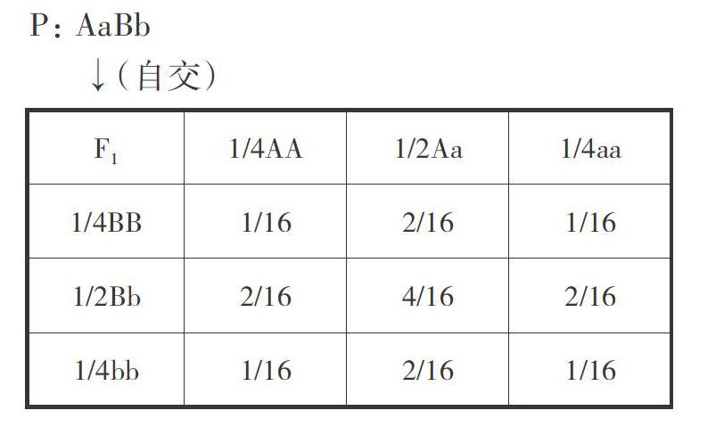 巧用棋盘法解决不同类型的遗传题