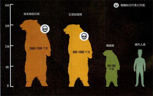 黑熊的祖先图片