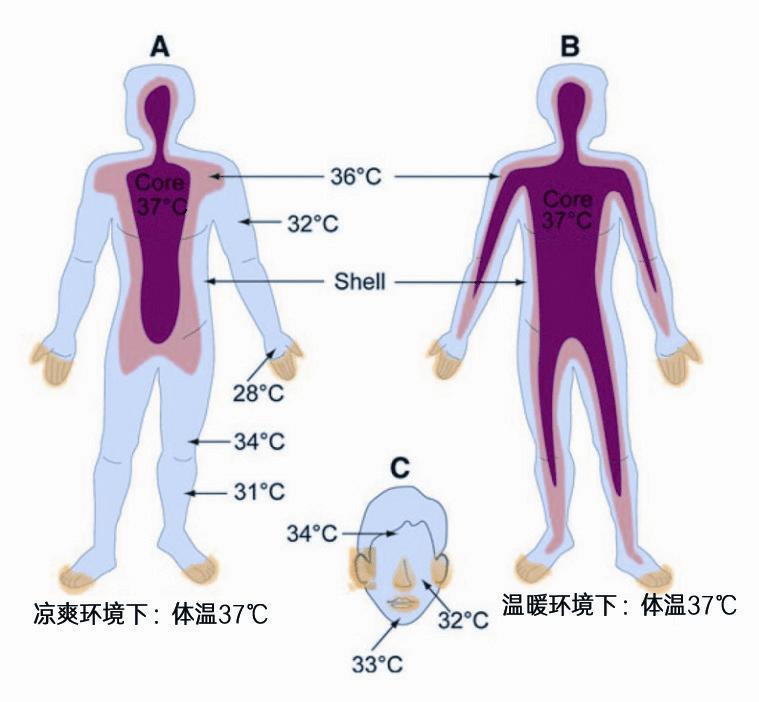 體溫測量知多少