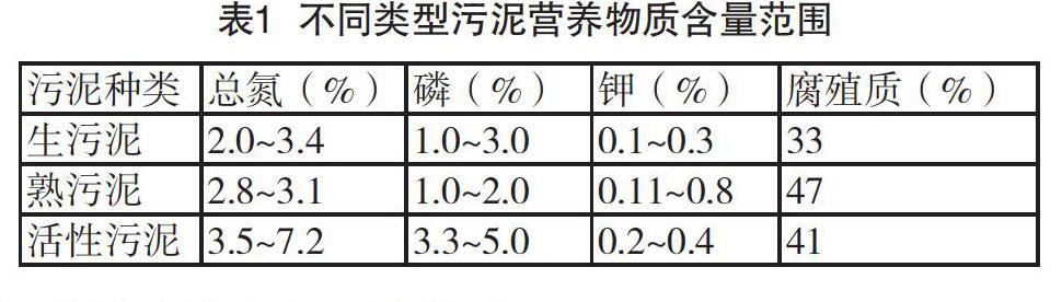 城市污水处理厂污泥处置浅析