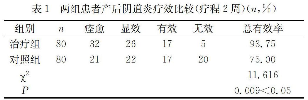 婦膚康噴霧劑在治療產後陰道炎的療效與不良反應分析