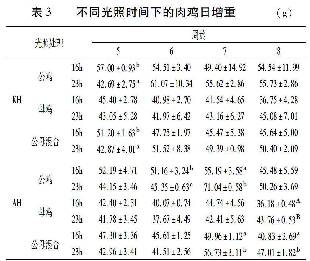 817肉鸡各日龄温度表图片