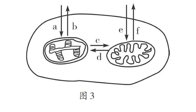 利用 图表转换 突破光合作用难点 参考网