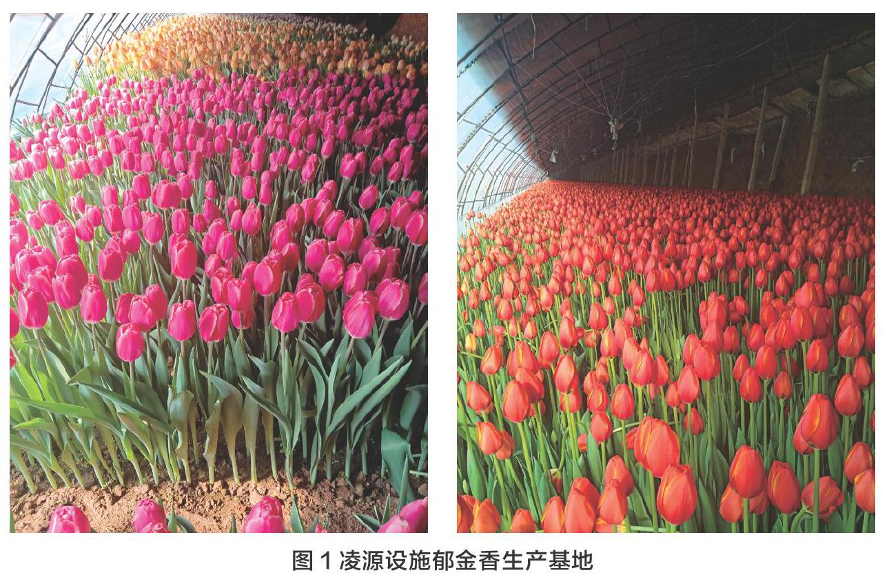 辽宁省花卉产业发展现状及发展趋势 参考网