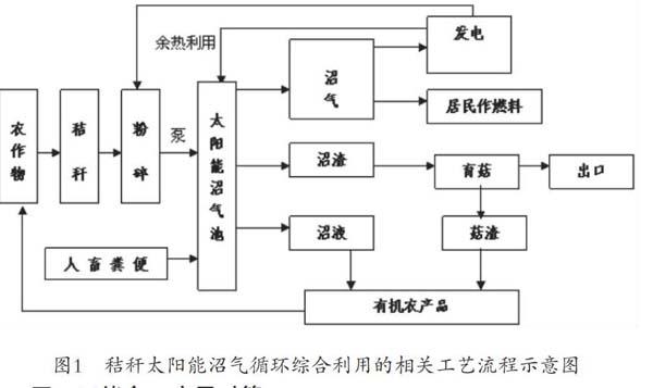 农村地区秸秆—沼气—太阳能的循环利用分析