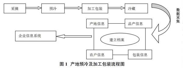 物联网技术在生鲜农产品冷链物流中的应用研究