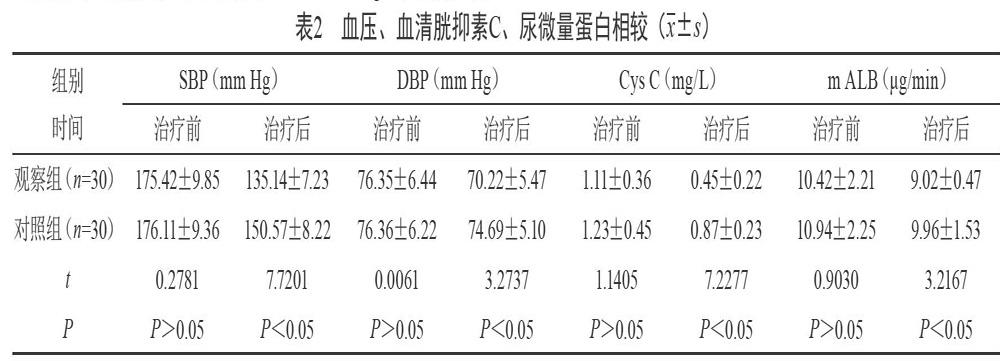 苯磺酸左旋氨氯地平對老年輕中度高血壓臨床治療效果分析