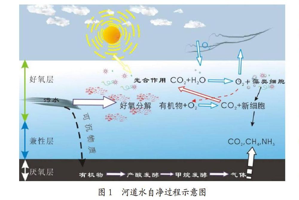 河道水环境治理中多方位生态修复技术的应用