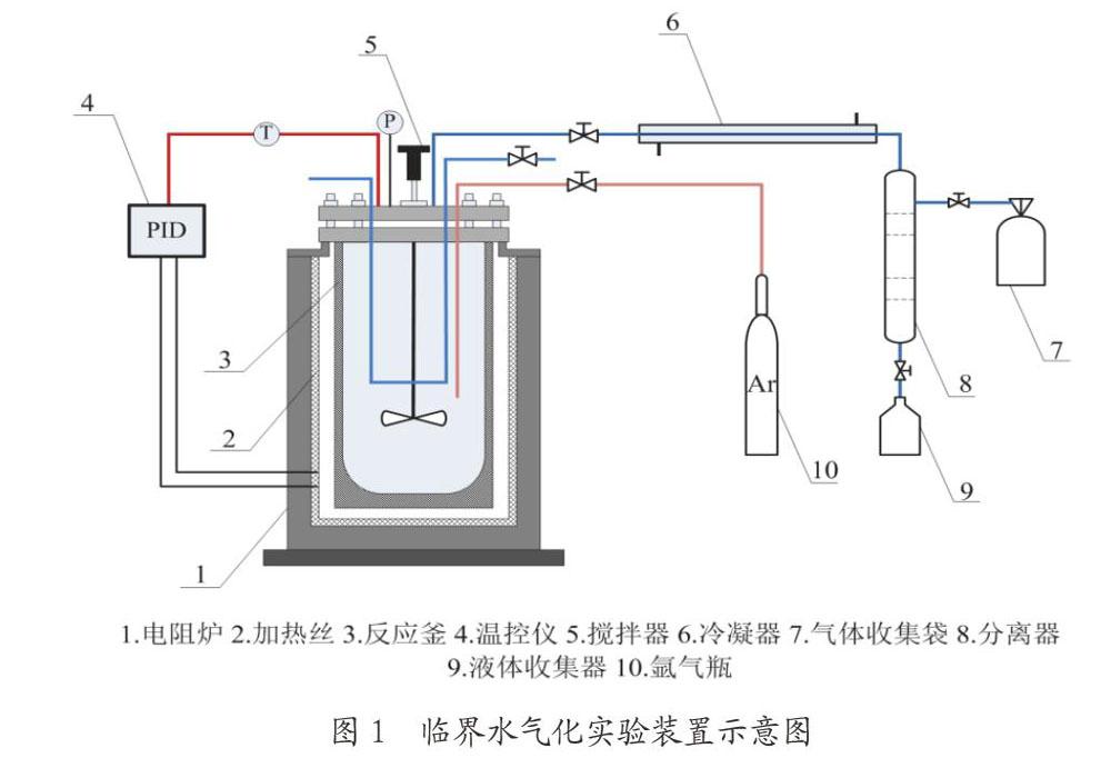 超富集植物超临界水气化产气特性研究