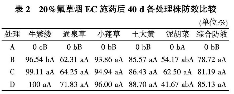 氟草烟防除小麦田阔叶杂草及对养分水分的影响