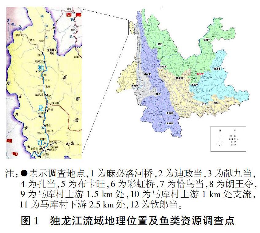独龙江地图高清版图片