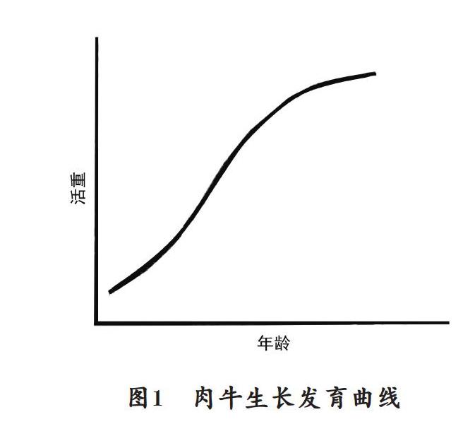 装牛架子的尺寸图片