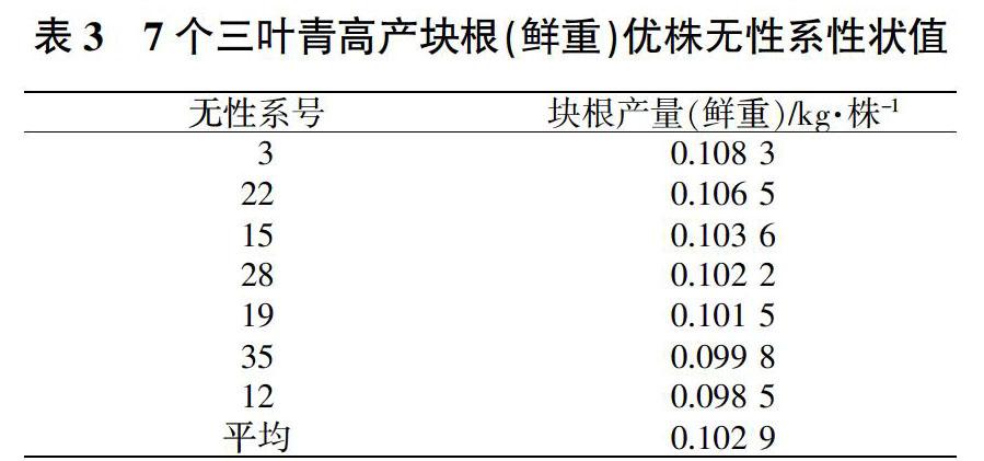 三葉青優株扦插繁殖和無性系塊根產量差異研究