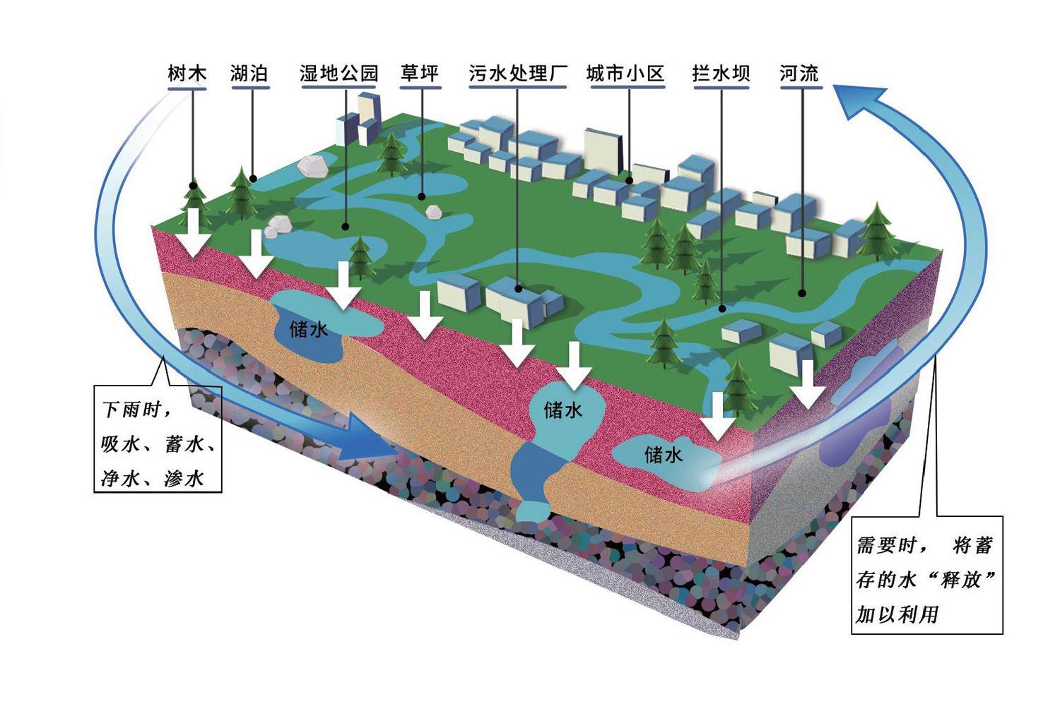 看海綿城市如何吐納雨水