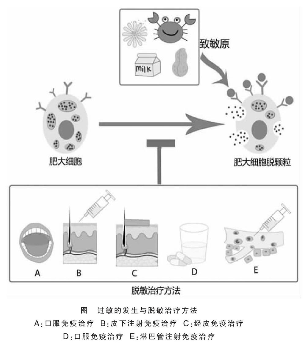 过敏体质与脱敏治疗