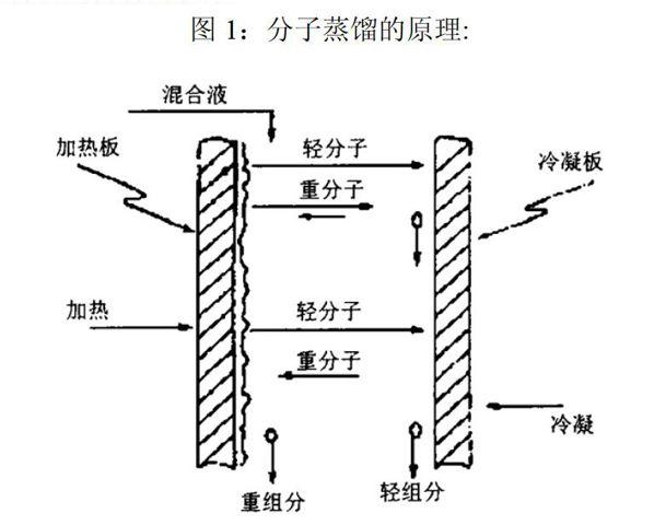 分子蒸馏的原理图解图片