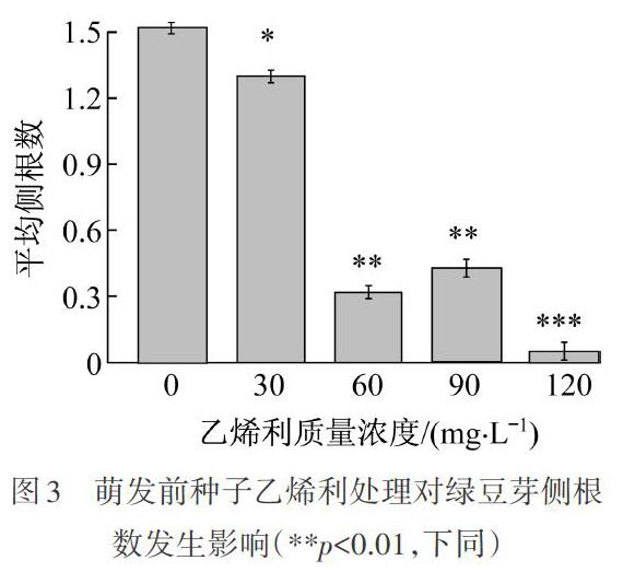 乙烯利对绿豆芽前期生长和品质的影响