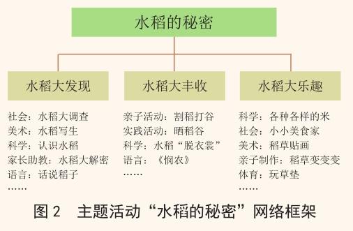 水稻的秘密调查表图片