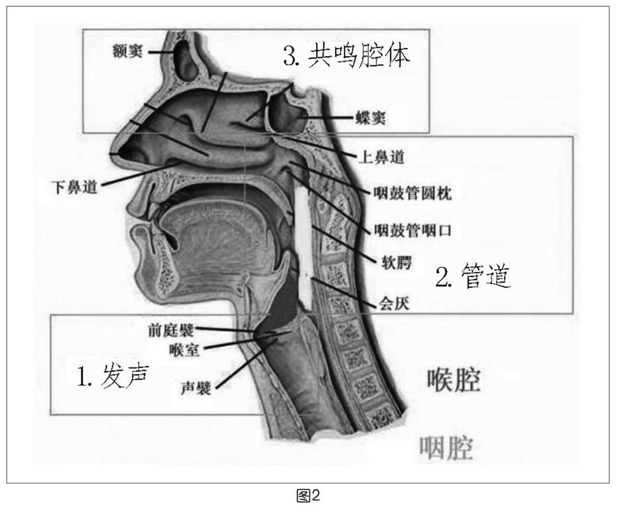 识音频懂声音