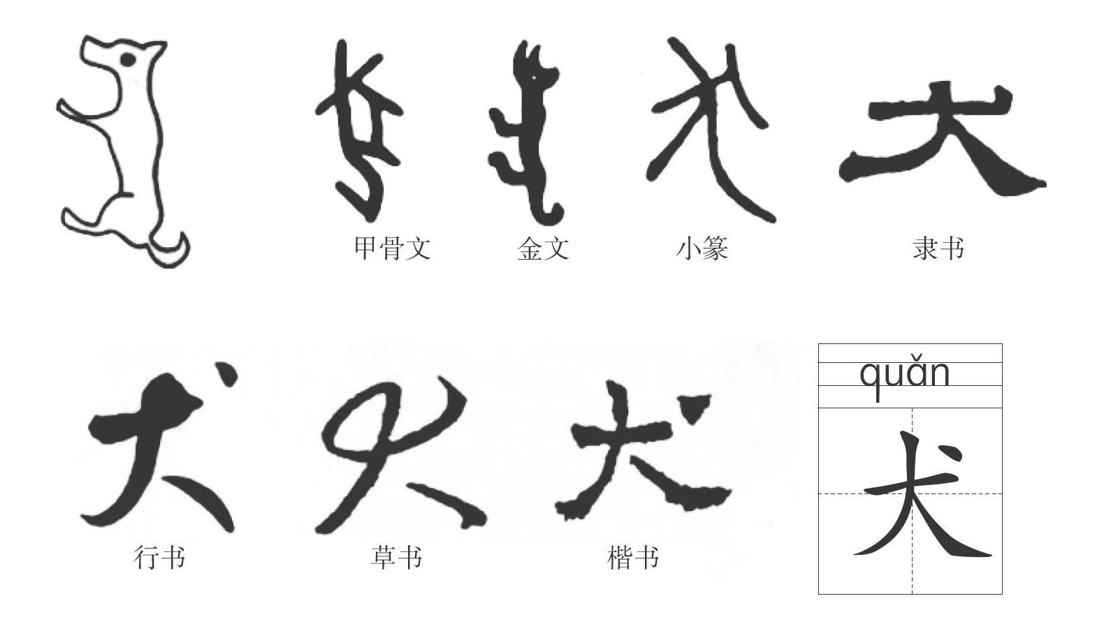 神奇的汉字 参考网