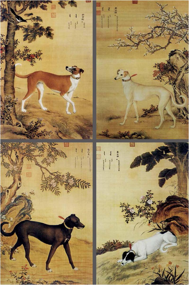 清朝宫廷犬图片