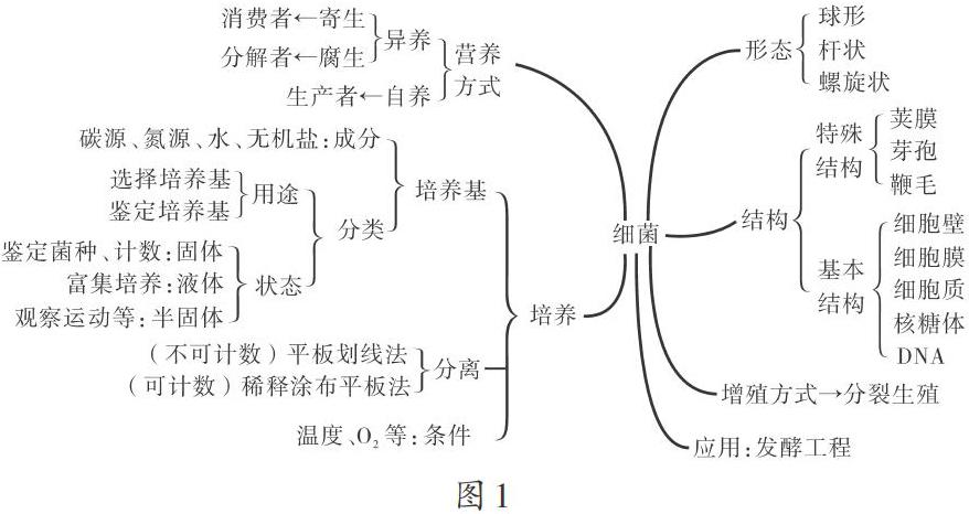 刍议高三生物 细菌 专题复习教学 参考网