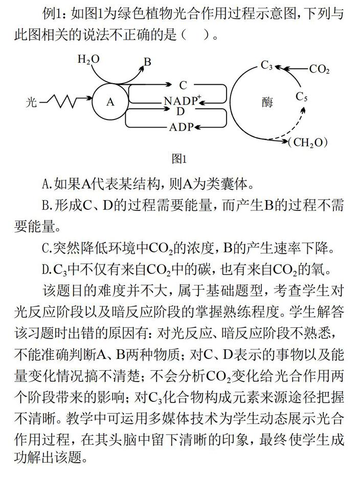 高中生物光合及呼吸作用易错点解析 Www 366 Net Www366 Net必赢亚洲