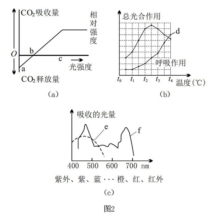 高中生物光合及呼吸作用易错点解析 Www 366 Net Www366 Net必赢亚洲