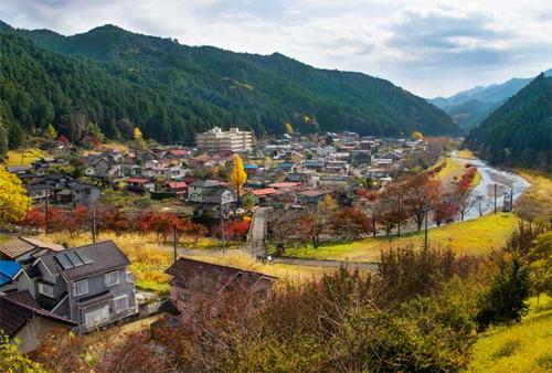 拯救 里山 在行动